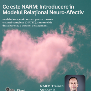Ce este NARM: O Introducere în Modelul Relațional Neuro-Afectiv(NARM)
