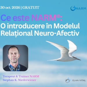 Ce este NARM: O Introducere în Modelul Relațional Neuro-Afectiv | Stephan Niederwieser
